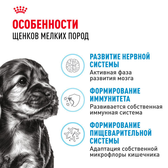 0,8кг Корм ROYAL CANIN Mini Puppy для щенков мелких пород с 2 до 10 месяцев