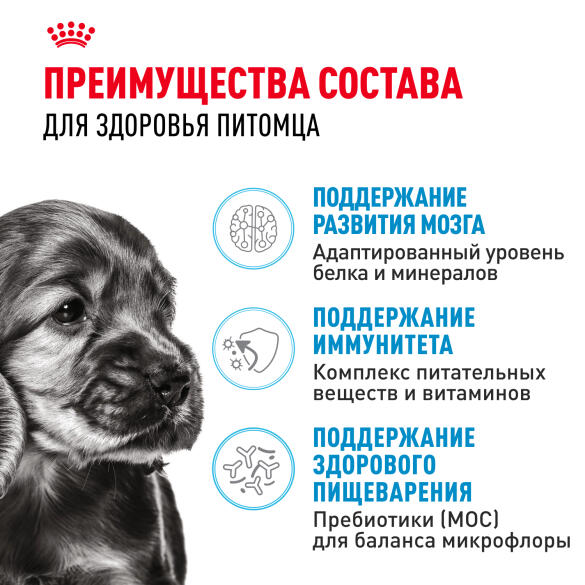 0,8кг Корм ROYAL CANIN Mini Puppy для щенков мелких пород с 2 до 10 месяцев