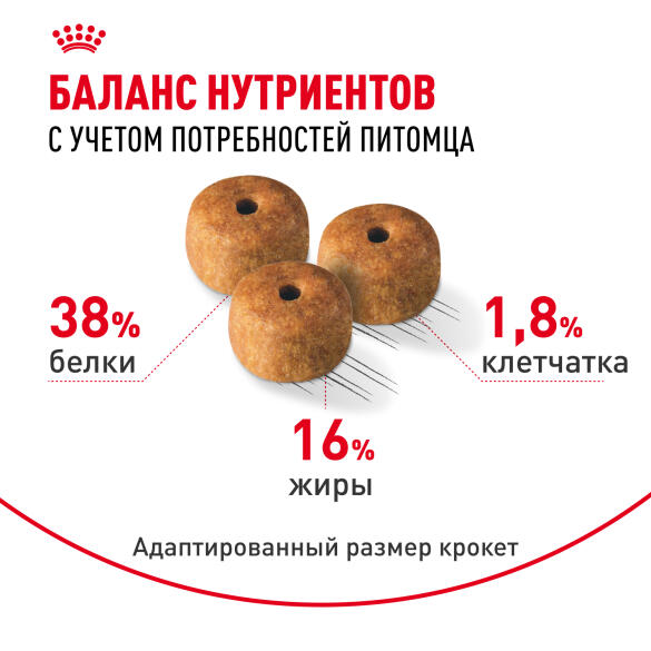 0,4кг Корм ROYAL CANIN Siamese Adult для взрослых Сиамских кошек от 12 месяцев
