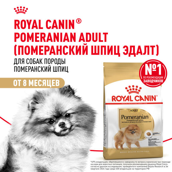 1,5кг Корм ROYAL CANIN Pomeranian Adult для взрослых собак породы Померанский Шпиц от 8 месяцев