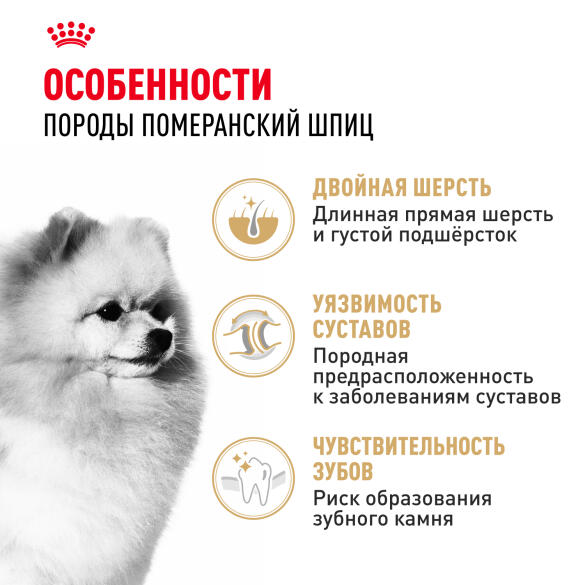 1,5кг Корм ROYAL CANIN Pomeranian Adult для взрослых собак породы Померанский Шпиц от 8 месяцев
