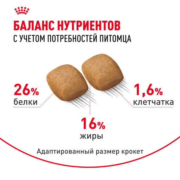 1,5кг Корм ROYAL CANIN Pomeranian Adult для взрослых собак породы Померанский Шпиц от 8 месяцев