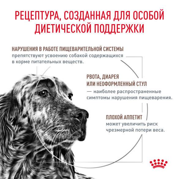 2кг Корм ROYAL CANIN GastroIntestinal диета для взрослых собак при нарушении пищеварения