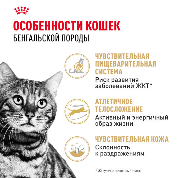 0,4кг Корм ROYAL CANIN Bengal для взрослых Бенгальских кошек от 12 месяцев