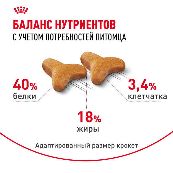 0,4кг Корм ROYAL CANIN Bengal для взрослых Бенгальских кошек от 12 месяцев