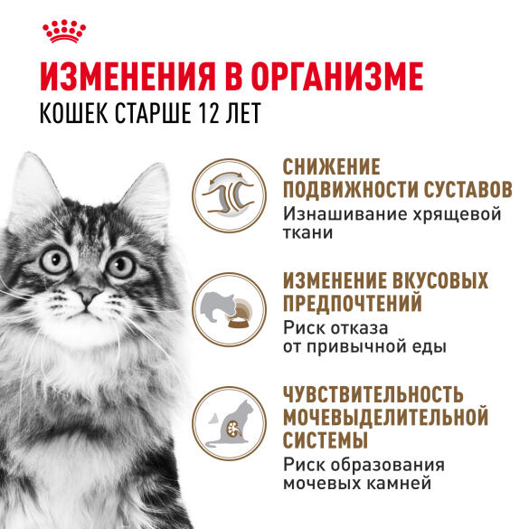 85г Влажный корм ROYAL CANIN Ageing +12 для взрослых кошек старше 12 лет, в желе (пауч)