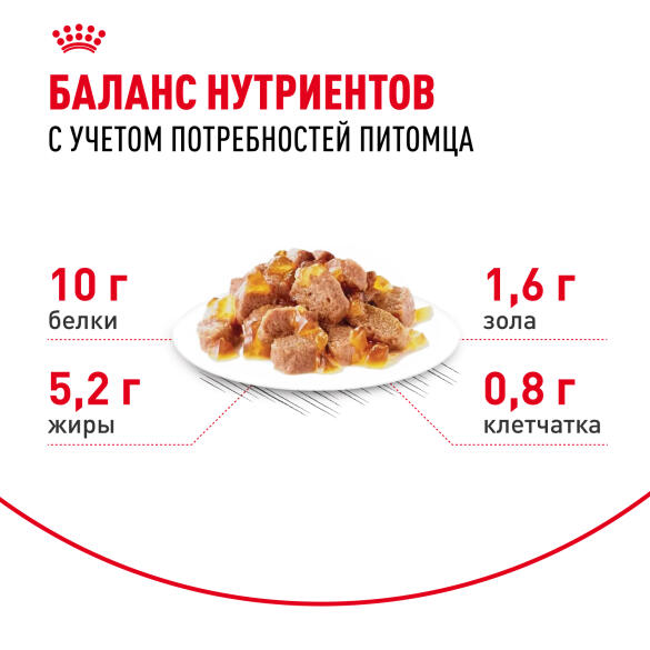 85г Влажный корм ROYAL CANIN Ageing +12 для взрослых кошек старше 12 лет, в желе (пауч)