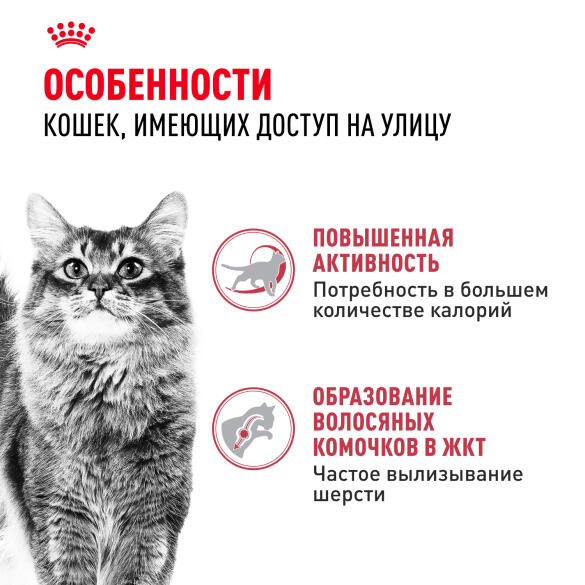 0,4кг Корм ROYAL CANIN Fit 32 для взрослых домашних кошек, имеющих доступ на улицу