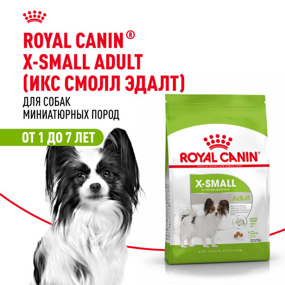 3кг Корм ROYAL CANIN X-Small Adult для взрослых собак миниатюрных пород