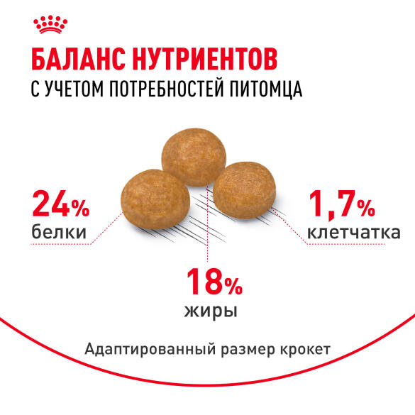 3кг Корм ROYAL CANIN X-Small Adult для взрослых собак миниатюрных пород