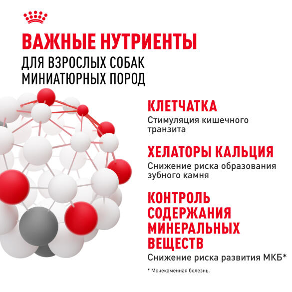 3кг Корм ROYAL CANIN X-Small Adult для взрослых собак миниатюрных пород