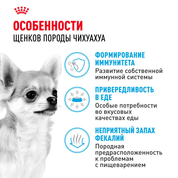 1,5кг Корм ROYAL CANIN Chihuahua Puppy для щенков породы Чихуахуа до 8 месяцев
