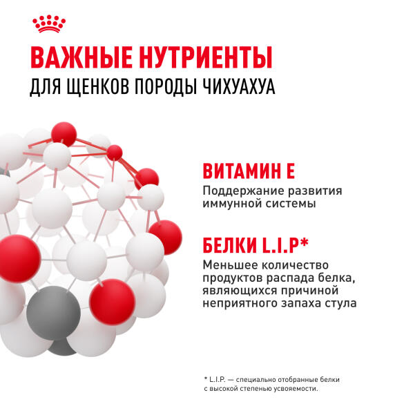 1,5кг Корм ROYAL CANIN Chihuahua Puppy для щенков породы Чихуахуа до 8 месяцев