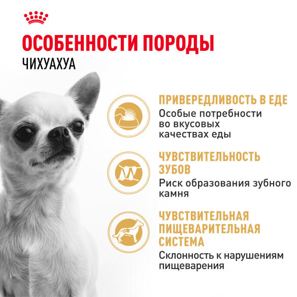 0,5кг Корм ROYAL CANIN Chihuahua Adult для взрослых собак породы Чихуахуа c 8 месяцев