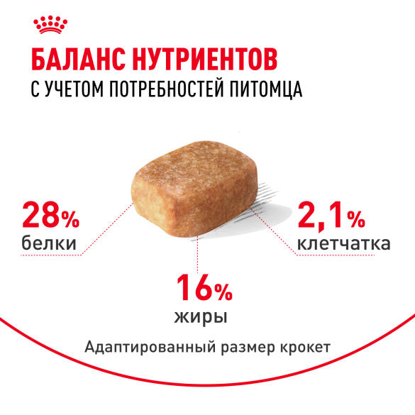 0,5кг Корм ROYAL CANIN Chihuahua Adult для взрослых собак породы Чихуахуа c 8 месяцев