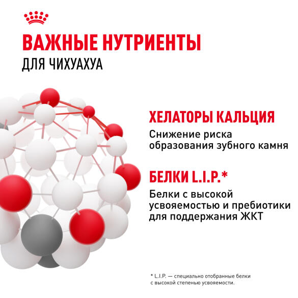 0,5кг Корм ROYAL CANIN Chihuahua Adult для взрослых собак породы Чихуахуа c 8 месяцев