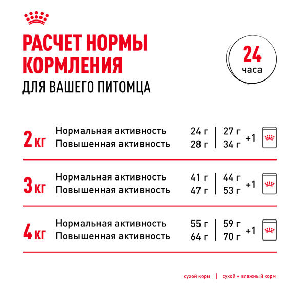 0,5кг Корм ROYAL CANIN Chihuahua Adult для взрослых собак породы Чихуахуа c 8 месяцев