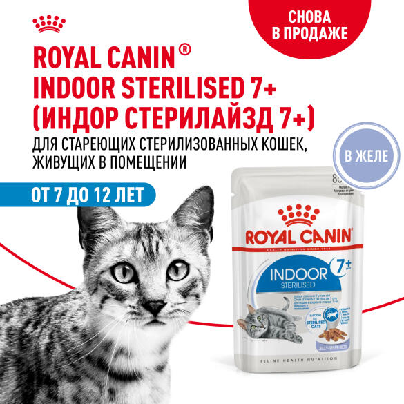 85гр Влажный корм ROYAL CANIN INDOOR STERILISED +7 in JELLY для взрослых домашних стерилизованных кошек старше 7 лет, в желе (пауч)