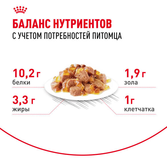 85гр Влажный корм ROYAL CANIN INDOOR STERILISED +7 in JELLY для взрослых домашних стерилизованных кошек старше 7 лет, в желе (пауч)
