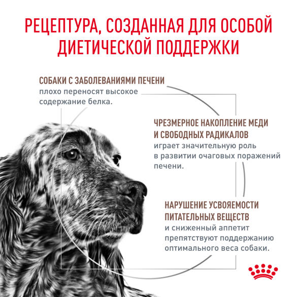 6кг Корм ROYAL CANIN Hepatic Canin диета для собак при заболеваниях печени