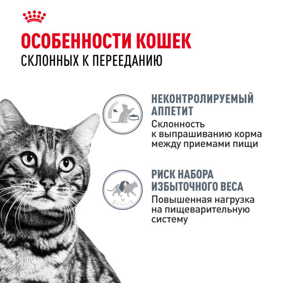 2кг Корм ROYAL CANIN Sterilised Appetite Control для взрослых стерилизованных кошек, склонных к выпрашиванию еды