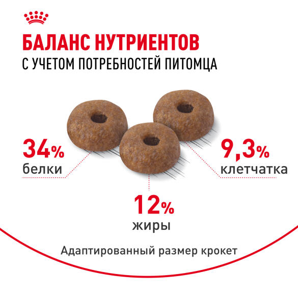 2кг Корм ROYAL CANIN Sterilised Appetite Control для взрослых стерилизованных кошек, склонных к выпрашиванию еды