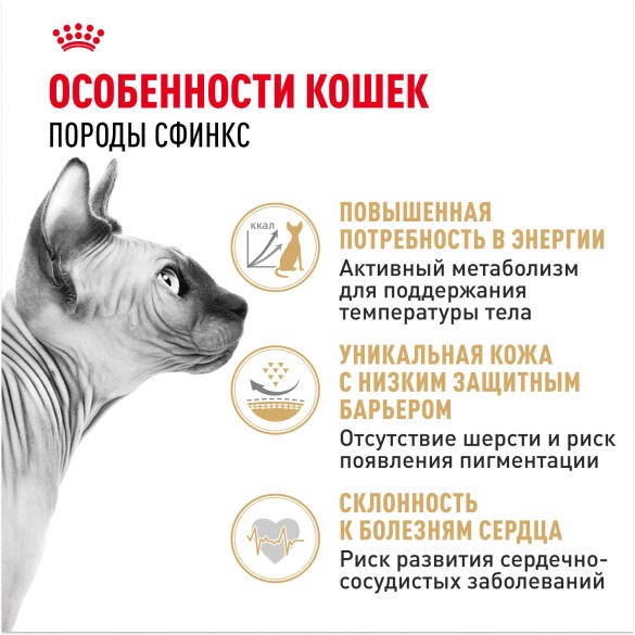 0,4кг Корм ROYAL CANIN Sphynx Adult для взрослых кошек породы Сфинкс старше 12 месяцев