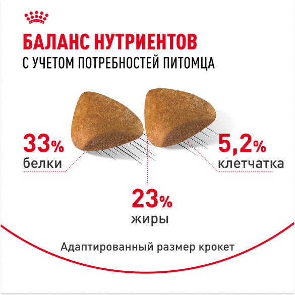 0,4кг Корм ROYAL CANIN Sphynx Adult для взрослых кошек породы Сфинкс старше 12 месяцев