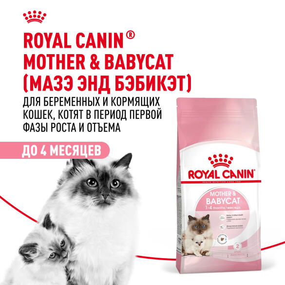 Корм в развес ROYAL CANIN Mother & Babycat для котят с рождения и до 4 месяцев, беременных и кормящих кошек, 1кг