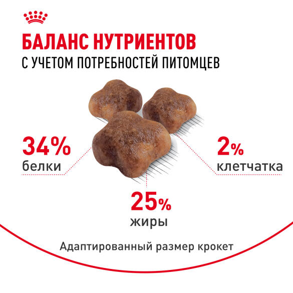 Корм в развес ROYAL CANIN Mother & Babycat для котят с рождения и до 4 месяцев, беременных и кормящих кошек, 1кг