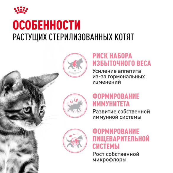 2кг Корм ROYAL CANIN Kitten Sterilised для стерилизованных котят с 6 до 12 месяцев