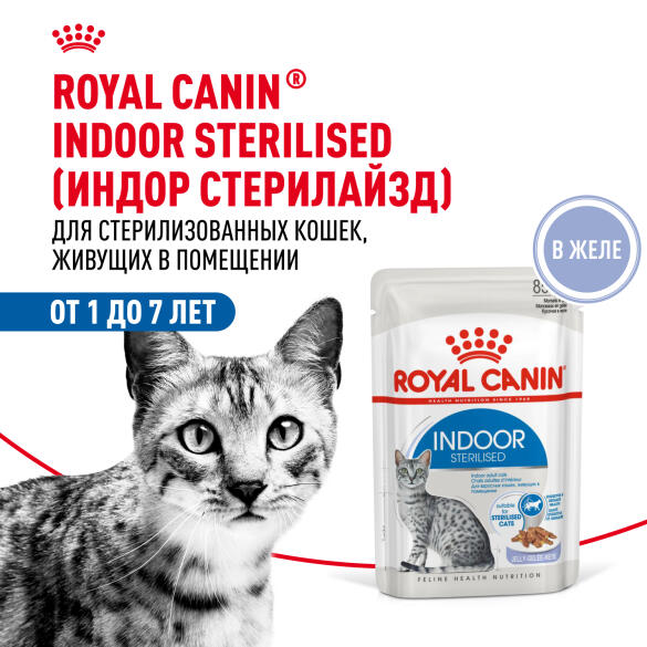 85гр Влажный корм ROYAL CANIN Indoor Sterilised для взрослых домашних стерилизованных кошек, в желе (пауч)