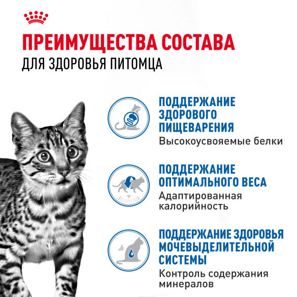 85гр Влажный корм ROYAL CANIN Indoor Sterilised для взрослых домашних стерилизованных кошек, в желе (пауч)
