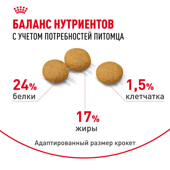 3кг Корм ROYAL CANIN Medium Dermacomfort для взрослых собак средних пород с чувствительной кожей