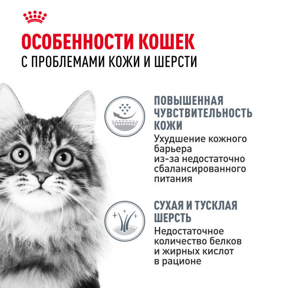 0,4кг Корм ROYAL CANIN Hair&Skin Care для взрослых кошек для здоровья кожи и шерсти