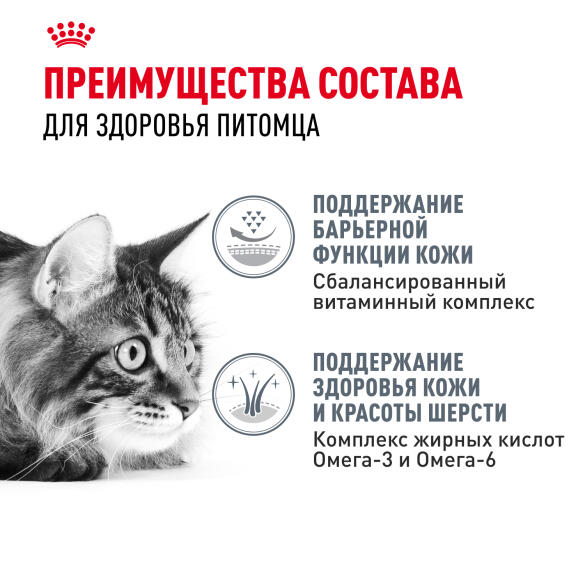 0,4кг Корм ROYAL CANIN Hair&Skin Care для взрослых кошек для здоровья кожи и шерсти