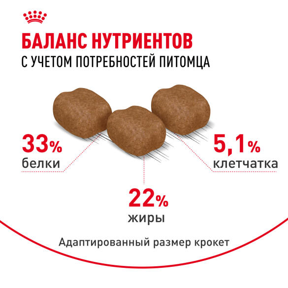 0,4кг Корм ROYAL CANIN Hair&Skin Care для взрослых кошек для здоровья кожи и шерсти