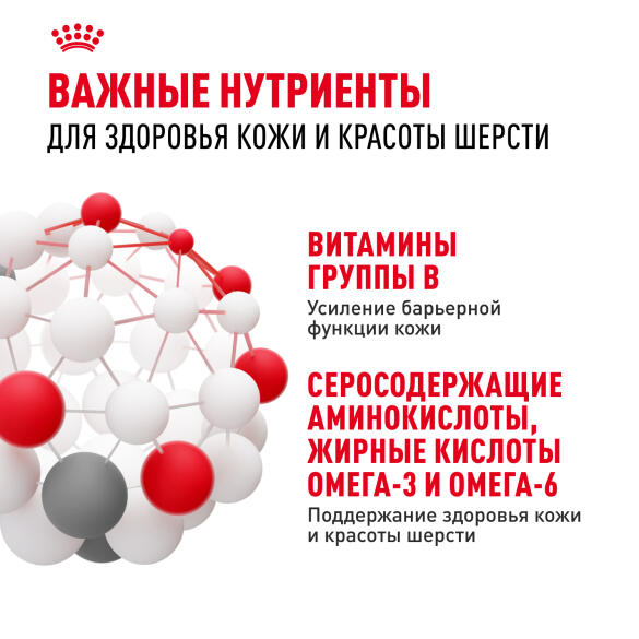 0,4кг Корм ROYAL CANIN Hair&Skin Care для взрослых кошек для здоровья кожи и шерсти