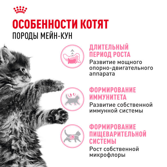 0,4кг Корм ROYAL CANIN Maine Coon Kitten для котят породы Мейн Кун до 15 месяцев