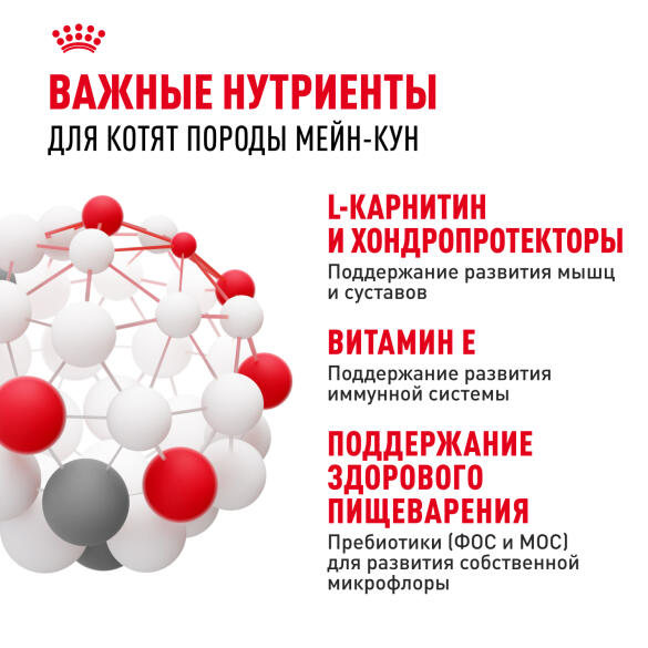 0,4кг Корм ROYAL CANIN Maine Coon Kitten для котят породы Мейн Кун до 15 месяцев