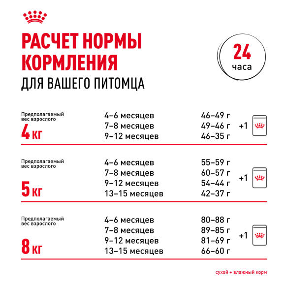 0,4кг Корм ROYAL CANIN Maine Coon Kitten для котят породы Мейн Кун до 15 месяцев