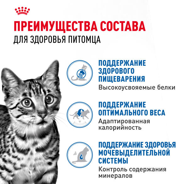 85гр Влажный корм ROYAL CANIN Indoor Sterilised для взрослых домашних стерилизованных кошек, в соусе (пауч)