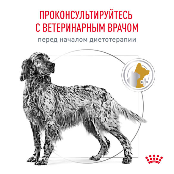 2кг Корм ROYAL CANIN Urinary S/O диета для взрослых собак при заболеваниях мочевыделительной системы
