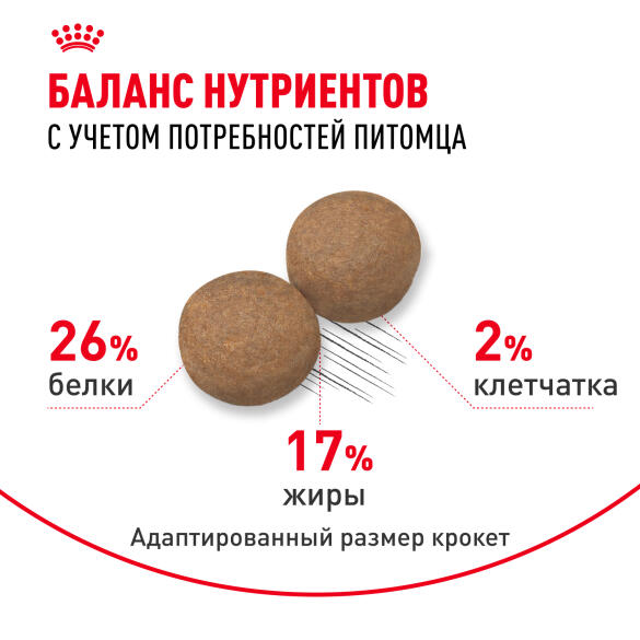 15кг Корм ROYAL CANIN Maxi Adult для взрослых собак крупных пород от 15 месяцев