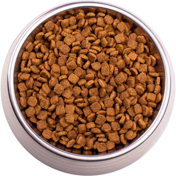 0,4кг Gemon Cat Indoor для домашних кошек