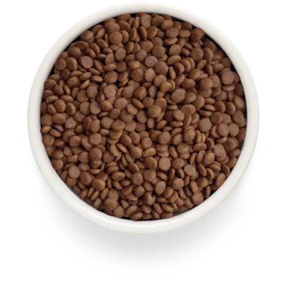 2кг Корм GRANDORF CAT Fresh Lamb&Sweet Potato Adult беззерновой гипоаллергенный для взрослых кошек, Ягненок с Бататом