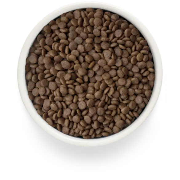 2кг Корм GRANDORF CAT Fresh Lamb&Sweet Potato Adult Sterilised беззерновой гипоаллергенный для взрослых стерилизованных кошек, Ягненок с Бататом