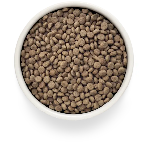 2кг Корм GRANDORF VET CAT URINARY S/O для кошек для растворения струвитных камней на основе бескостной Индейки