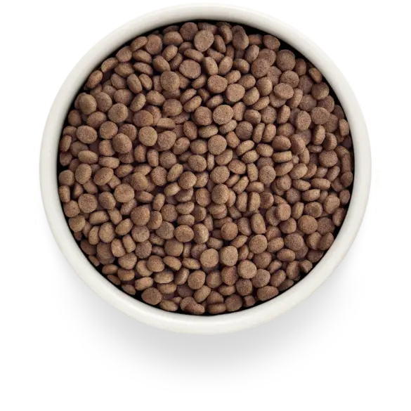 2кг Корм GRANDORF VET CAT GASTROINTESTINAL для кошек для снижения расстройств кишечника на основе бескостной Индейки