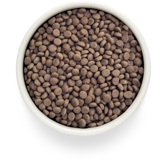 400гр Корм GRANDORF VET CAT HYPOALLERGENIC для кошек при пищевой аллергии на основе гидролизованного белка Кролика 400гр Корм GRANDORF VET CAT HYPOALLERGENIC для кошек при пищевой аллергии на основе гидролизованного белка Кролика